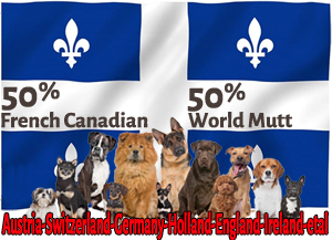 Combo Quebecois and Mutt Image