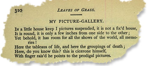 Poem - Leaves of Grass