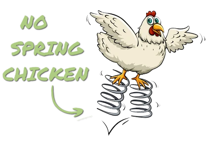 Image of chicken on springs