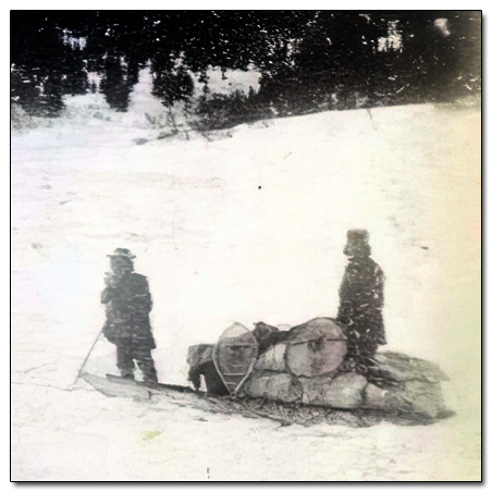 image of a dog sled in the 19th Century
